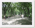 Literary Walk - Central Park New York * 2592 x 1944 * (2.51MB)